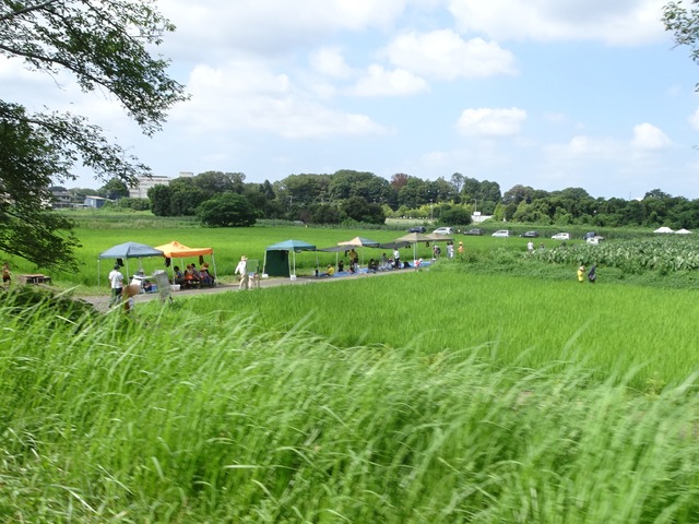 DSC00863