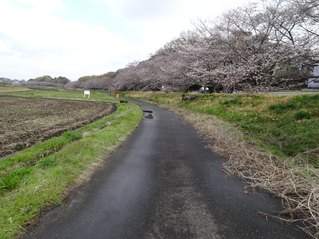 DSC00133