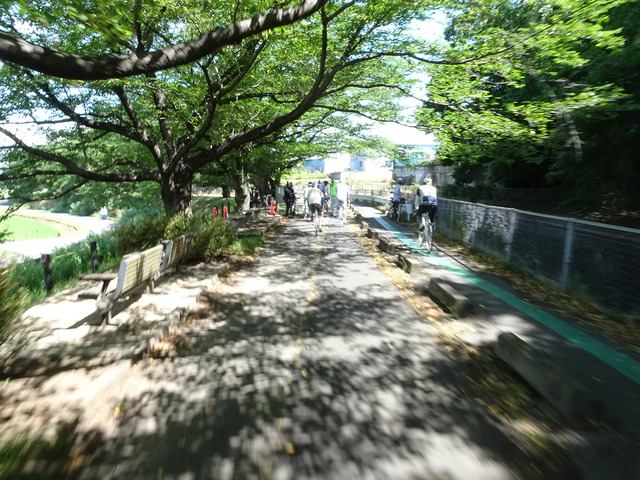 DSC04584