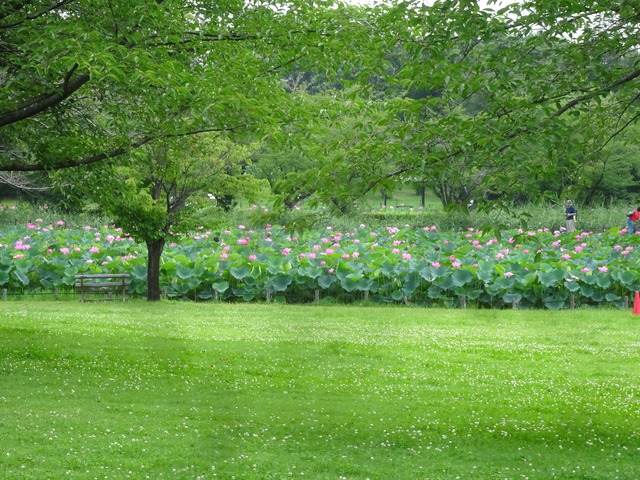 DSC00790