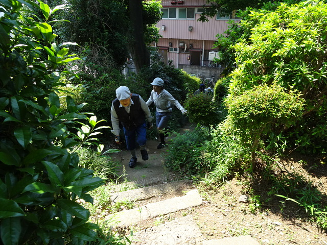 DSC02405