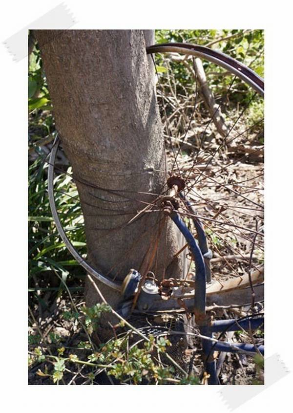 o0396055812877561272