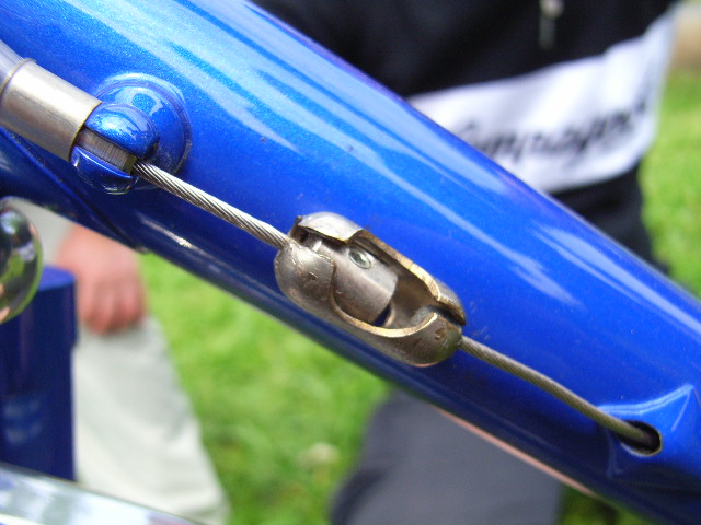988ec944.jpg