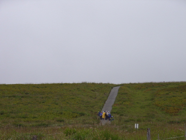 98c374f8.jpg