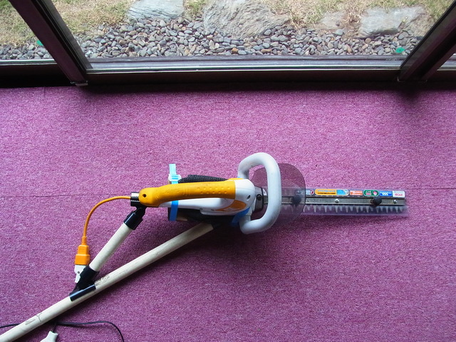 RIMG1031