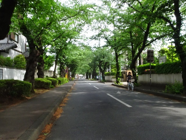 DSC00419