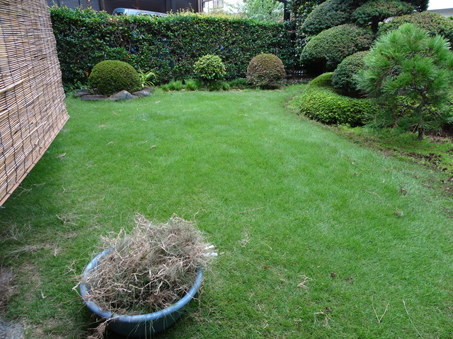 DSC00657