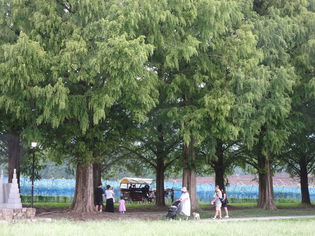 DSC08164