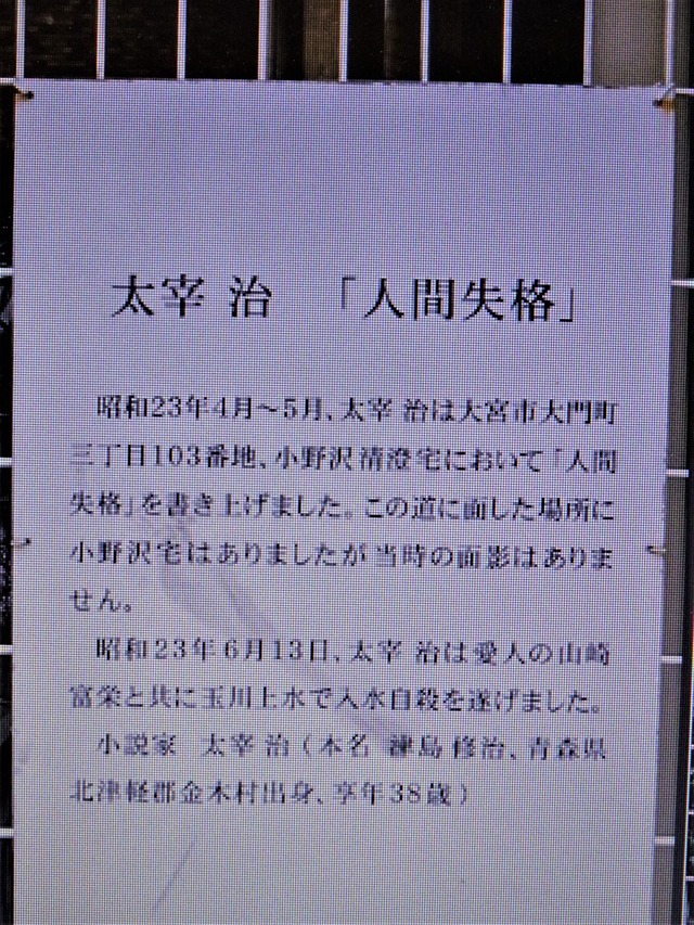 DSC09009