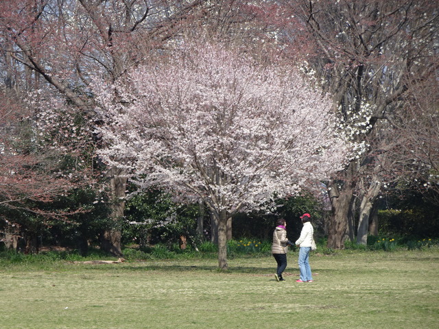 DSC01516