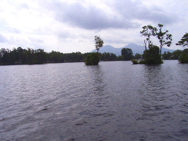 a2758f0f.jpg