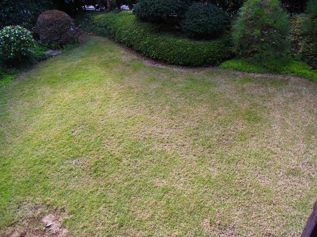 RIMG1222