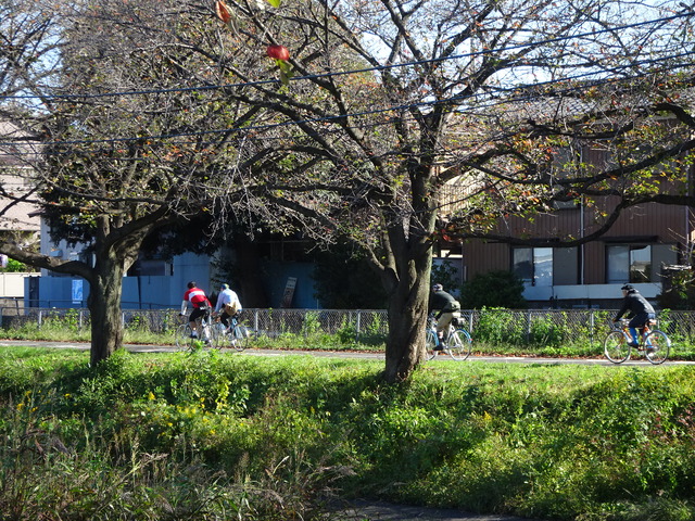 DSC01058