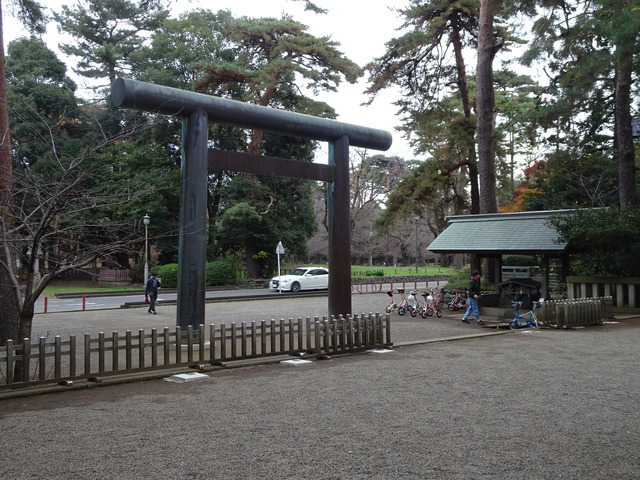 DSC07771