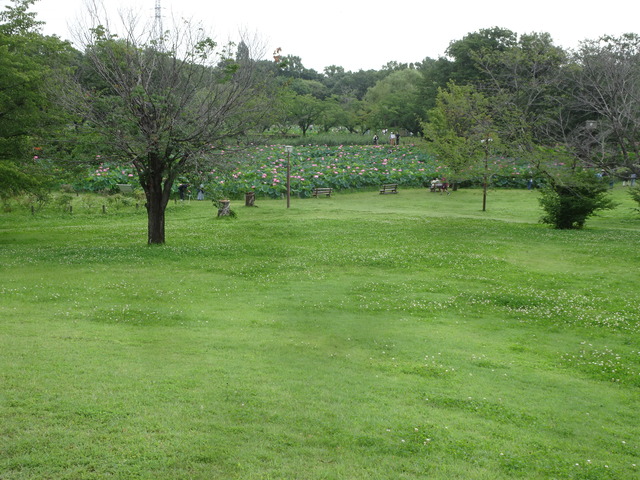 DSC00803