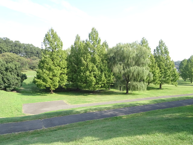 DSC04756