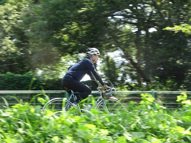 DSC06554