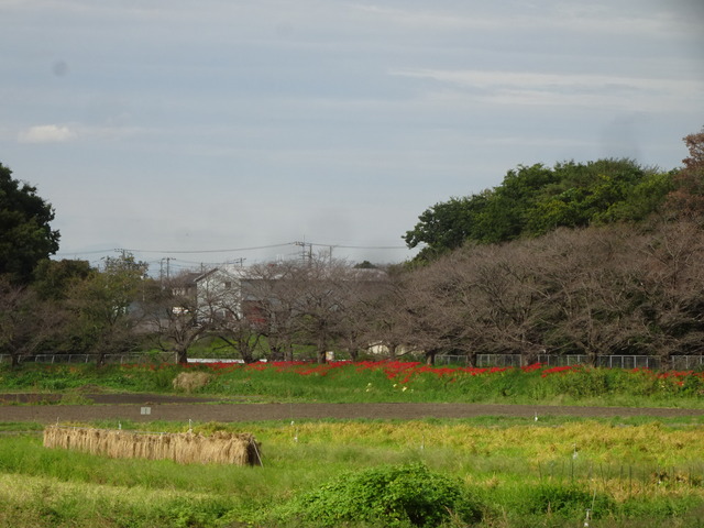 DSC08412