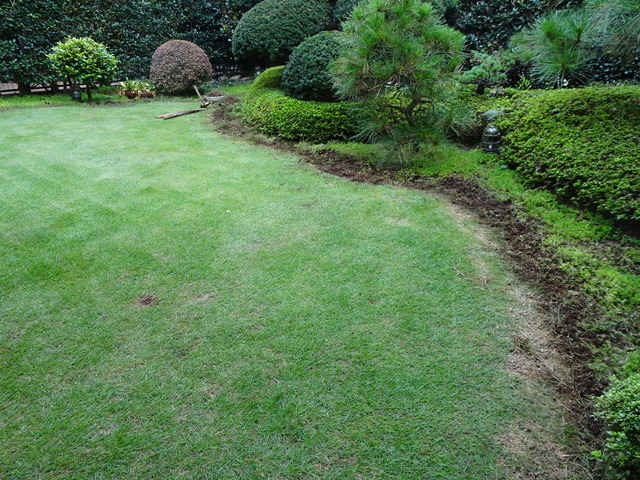 DSC06565