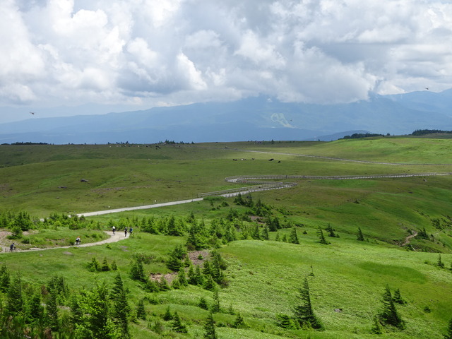 DSC03276