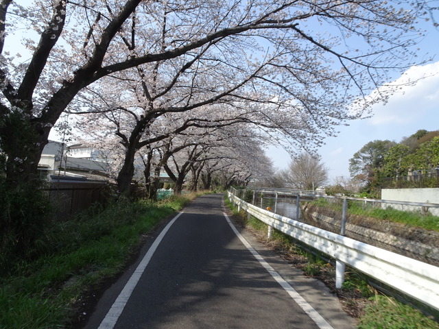 DSC00163
