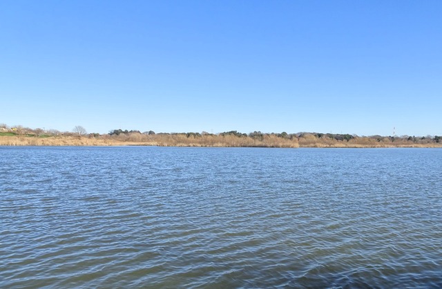 DSC05054