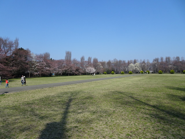 DSC01517