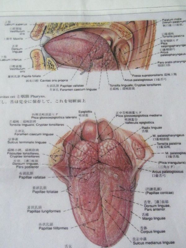 RIMG0881