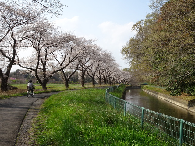 DSC00174