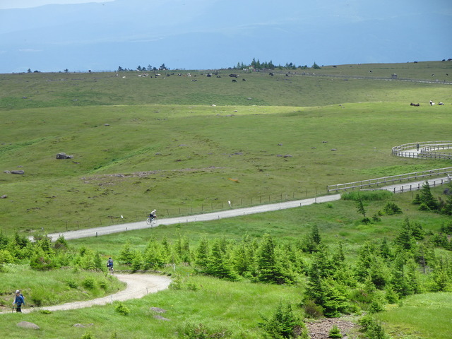 DSC03277