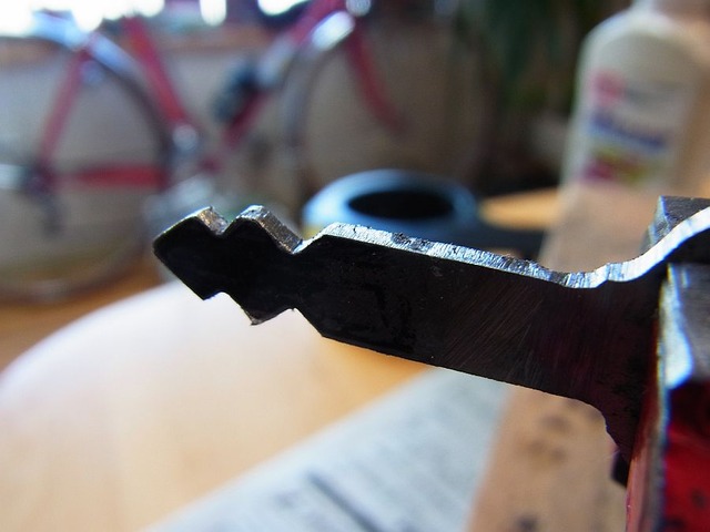 RIMG0296