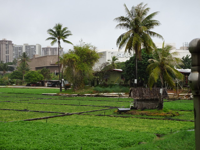 DSC00288