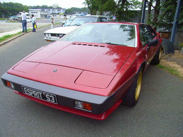 bc545625.jpg