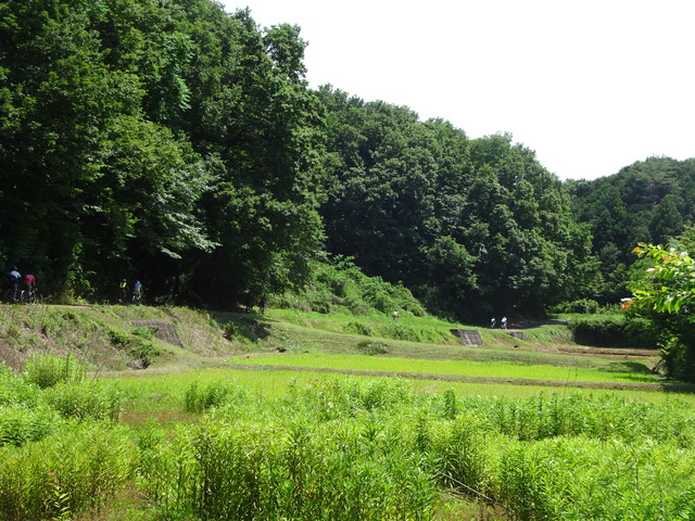 DSC02938