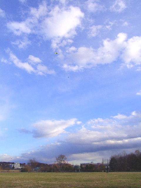 be2754db.jpg