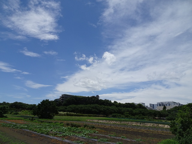 DSC04628