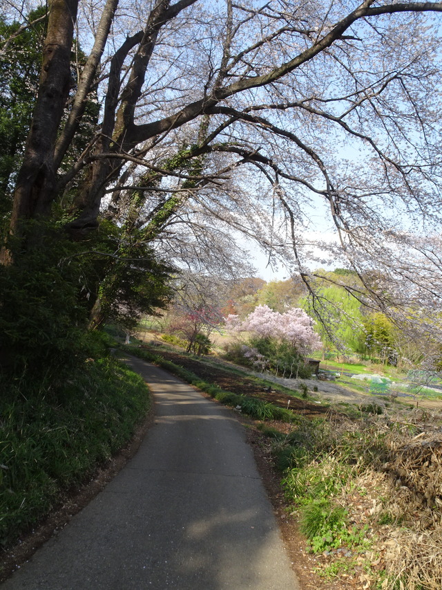 DSC00172
