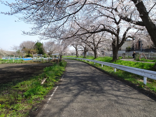 DSC00158