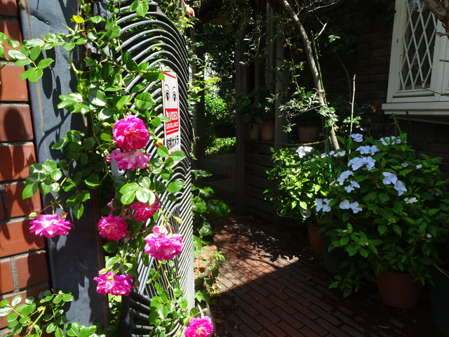 DSC00505
