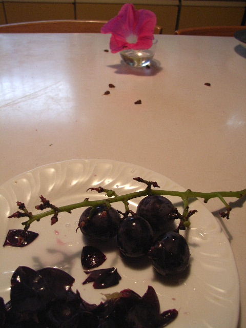 c479b9f7.jpg