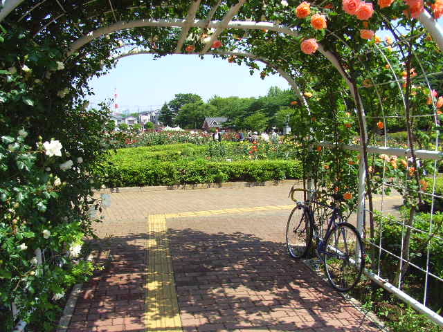 c5a6f758.jpg