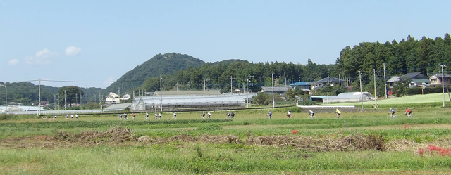 21762775_1495489760529647_4276893514864525702_o