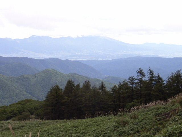 c85e1048.jpg