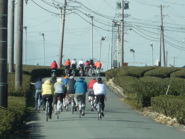2010 2 7 042