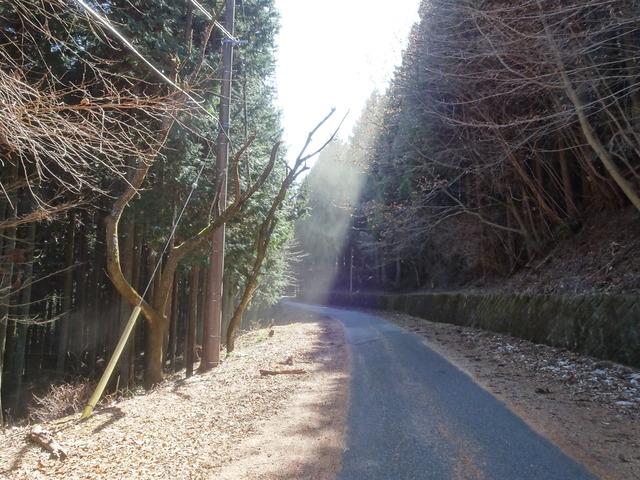DSC00003