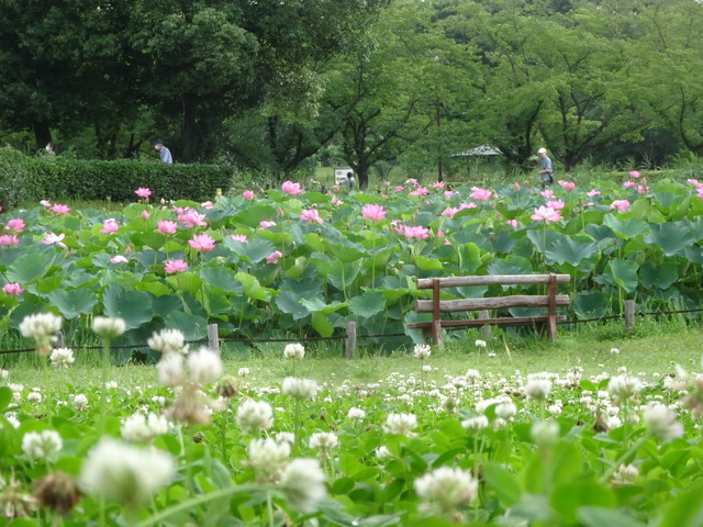 DSC00802