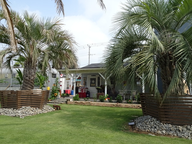 DSC00625