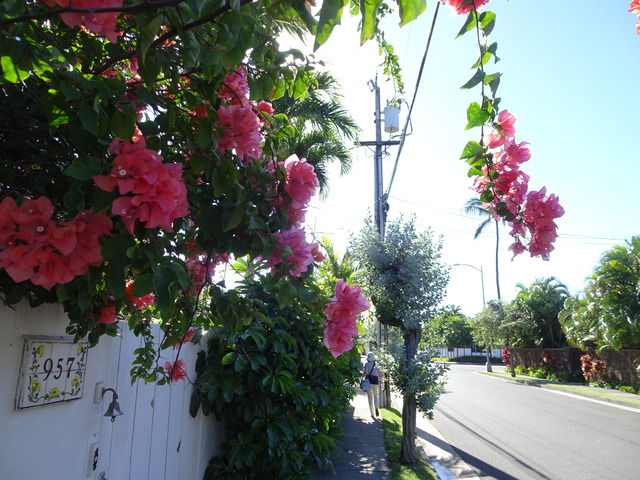 DSC08739