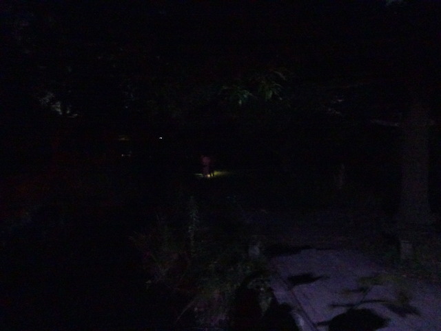 DSC04657