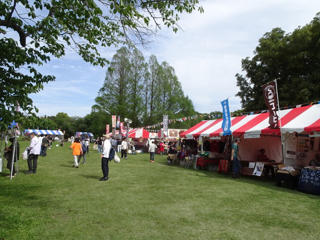 DSC00415
